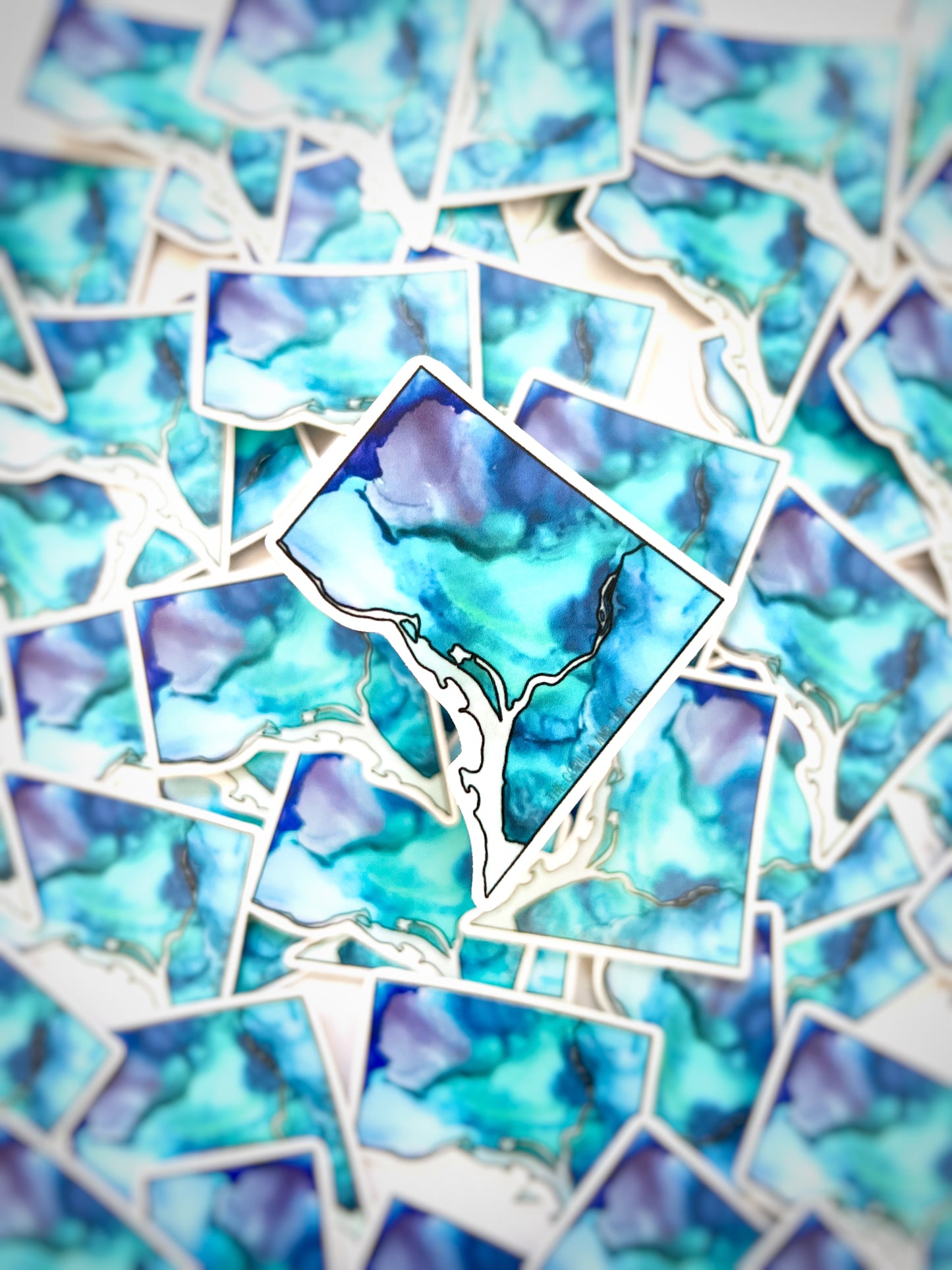 District of Columbia Sticker