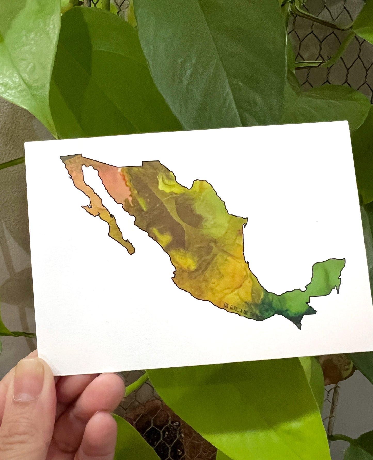 Mexico 3.5”x5” flat card